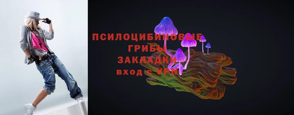 а пвп мука Алзамай