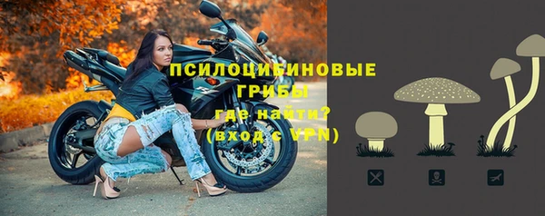 СК Алексеевка
