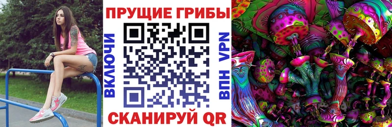 мега вход  Вологда  Псилоцибиновые грибы ЛСД  сколько стоит 